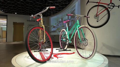 驰名中外的上海老字号——凤凰自行车