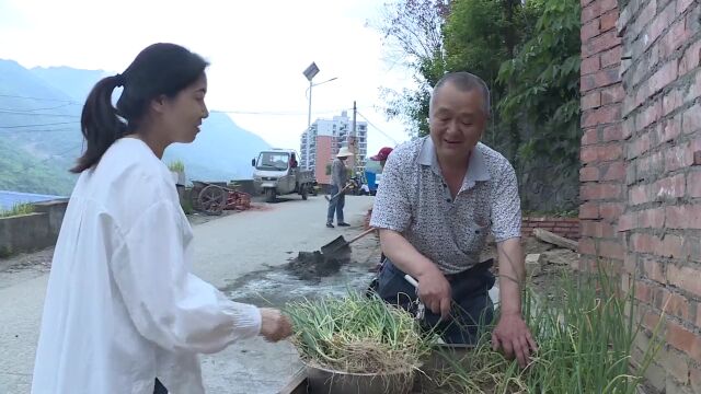 奋进新征程 建功新时代 | 兴州街道官地山村:发展产业打实“底子”,美化环境扮靓“面子”