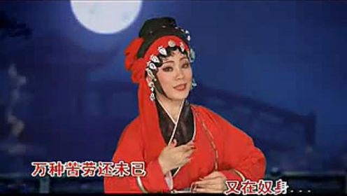 004 蔡映娜-父女相会在潇湘（左） - 潮剧唱段精选左右声道 卡拉OK版