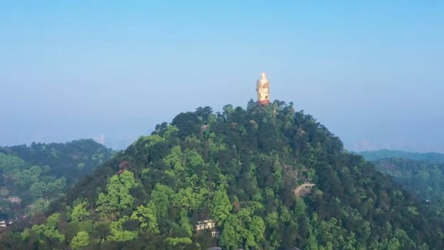 南山民宿:在青山中成长的诗意栖居