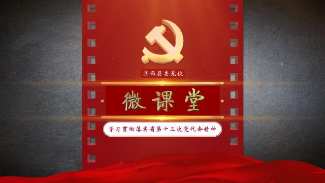 县委宣讲团成员 县委党校教师王 蕾