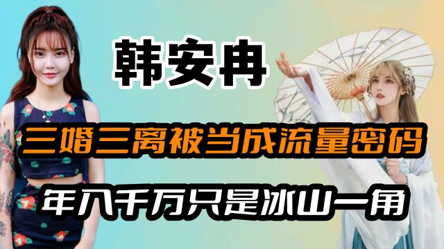 韩安冉:三婚三离被当成流量密码,年入千万只是冰山一角