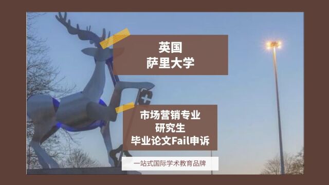 英国萨里大学市场营销专业研究生毕业论文Fail申诉|dissertation|essay|presentation