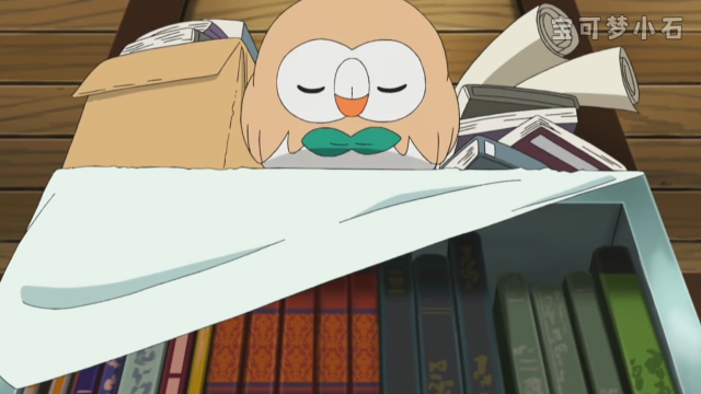 飞着飞着就睡着的木木枭鸟92