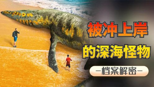 深海怪物：体长8米巨龙般的生物残骸，是未知生物还是乌龙事件？