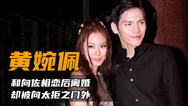 黄婉佩:和向佐相恋后离婚,却被向太拒之门外,如今过得怎样?