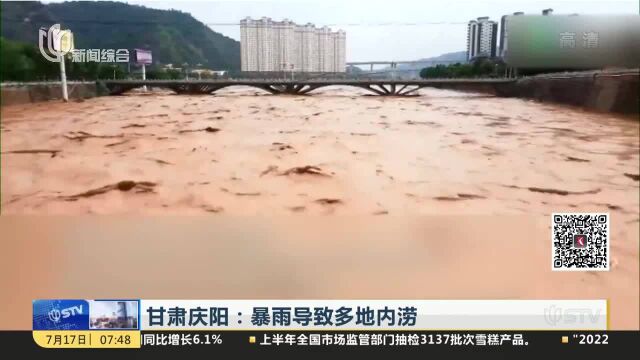 甘肃庆阳:暴雨导致多地内涝