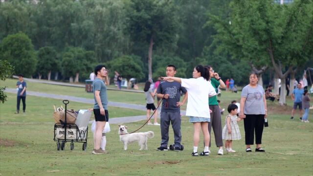 (电视通稿ⷥ›𝥆…ⷮŠ经济)旅游企业的突围之路