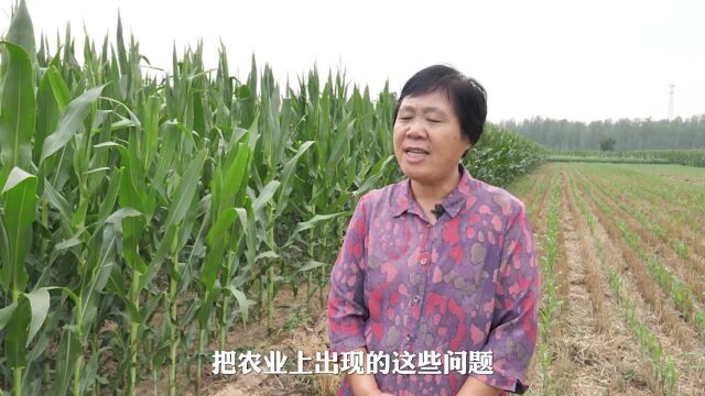 (一)山东高唐:”马扎课堂“让农业生产托管走进农民心里