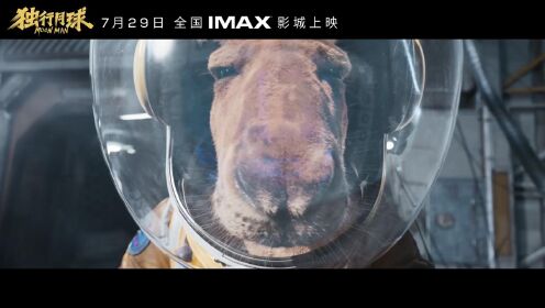独孤月大战金刚鼠，还不来IMAX一起看吗？