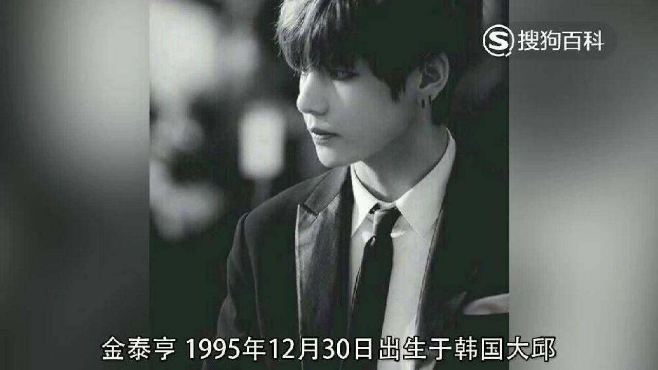 金泰亨 防弹少年团成员 搜狗百科