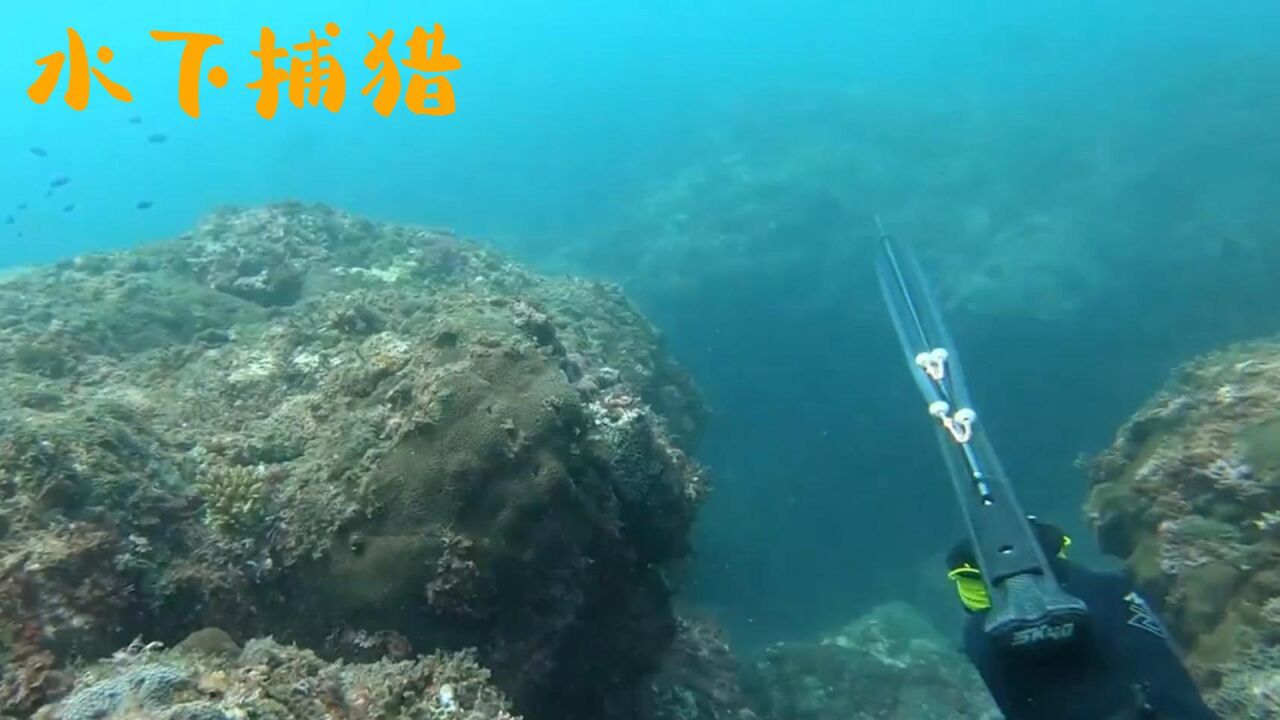纪录片：小伙用鱼枪捕猎，效率嘎嘎快_腾讯视频