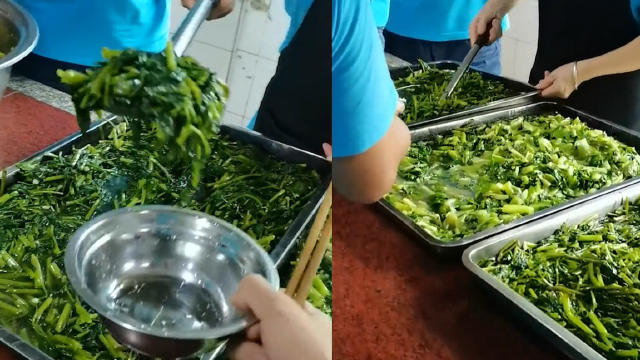 工厂食堂清一色的"绿叶菜"!打饭阿姨完全不手抖,网友:吃肉犯法吗?