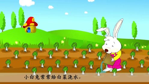 第28集 小白兔和小灰兔