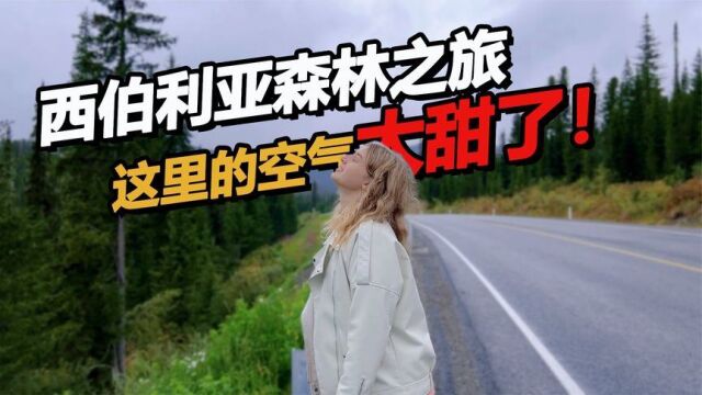 西伯利亚原始森林之旅这天气冷的8月份就下雪了?