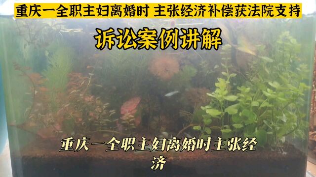 重庆一全职主妇离婚时主张经济补偿获法院支持