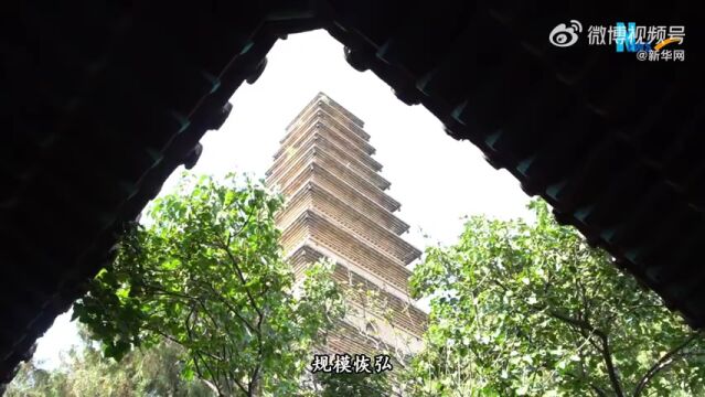 关公故里 晋是好运|永济普救寺 “愿天下有情人都成了眷属”