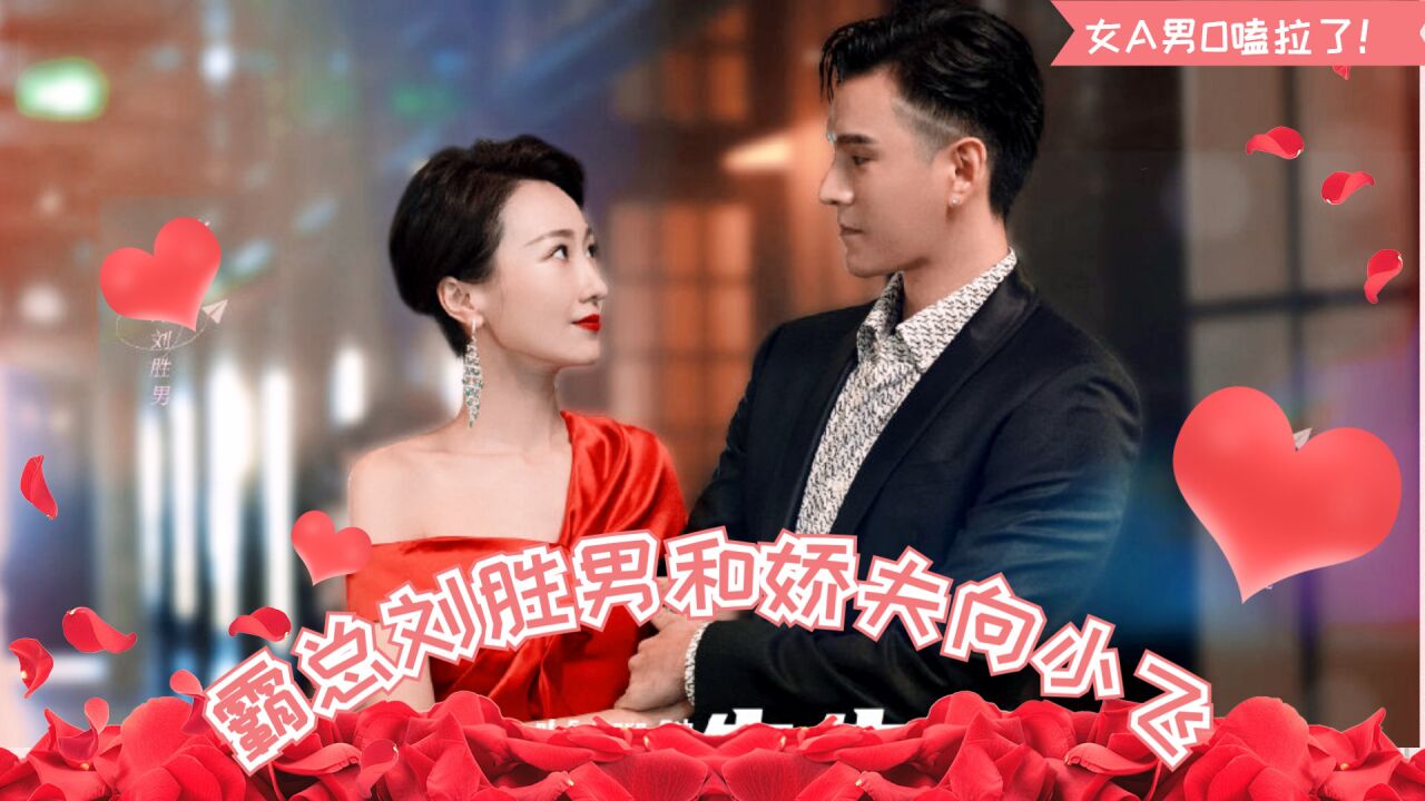 女a男o!霸总刘胜男和娇夫向小飞!这设定太带感了吧!_腾讯视频