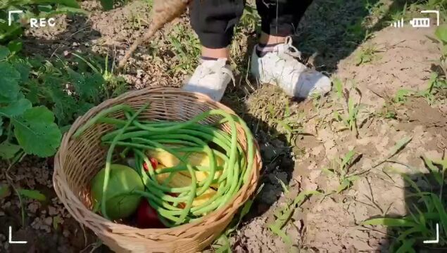 前小桔中秋游园,带你制作2022最火的宫廷月饼~