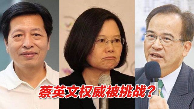 蔡英文权威被挑战?有绿营背景的候选人凝聚“讨厌民进党”力量