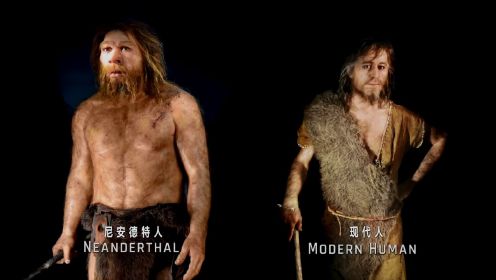 现代人类与灭绝的尼安德特人有多少关联？用DNA数据答疑解惑！