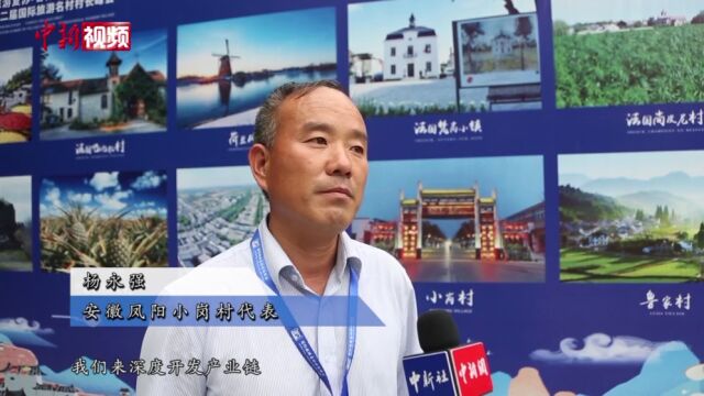 中外旅游名村“村长”线上聚首共话乡村旅游发展