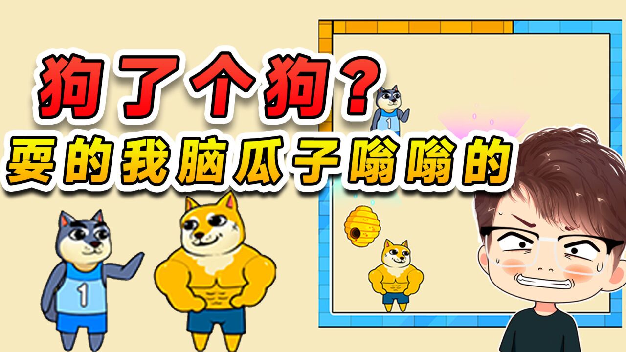 这不就是狗了个狗吗?就这俩破传送球,耍的这狗脑瓜子嗡嗡的_高清1080P在线观看平台_腾讯视频