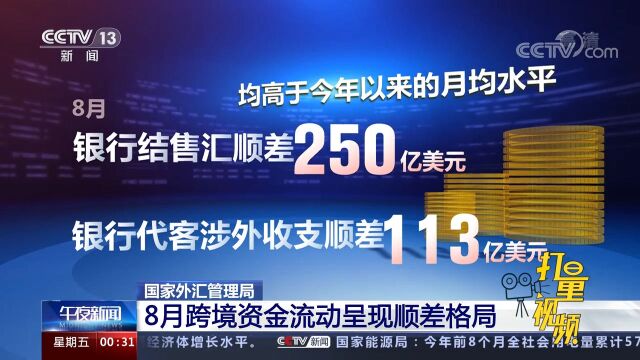 我国8月银行结售汇顺差250亿美元,外汇市场表现出较强韧性