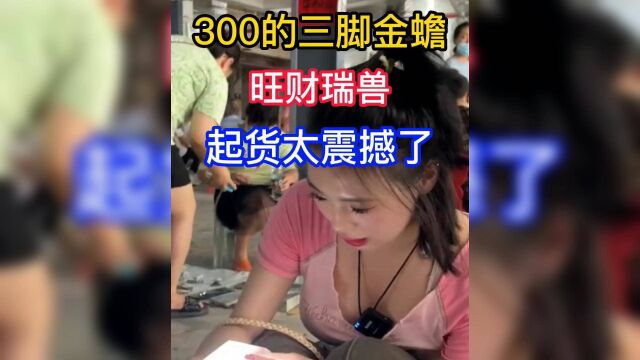 300的三脚金蟾,旺财瑞兽,起货太震 撼了