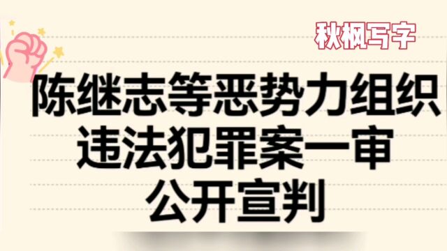 陈继志等恶势力组织违法犯罪案一审公开宣判