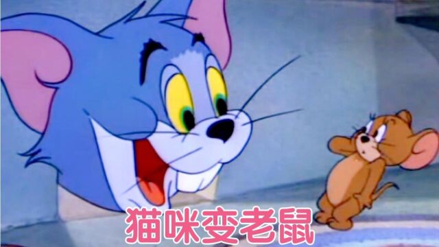  猫和老鼠  猫咪变老鼠,不仅吃杰瑞的奶酪还霸占杰瑞的床.