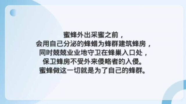 如何养成积极主动的工作习惯