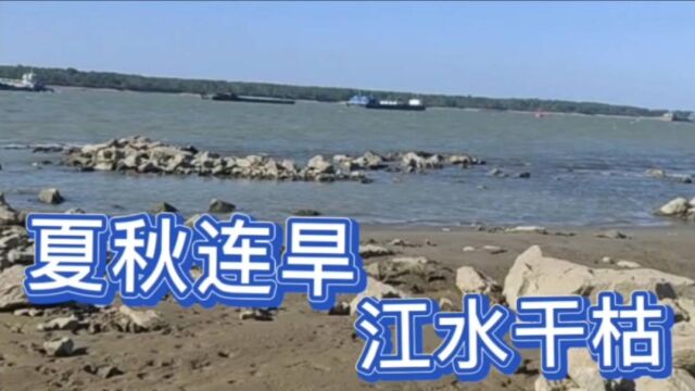 安徽省马鞍山市皖江下游段夏秋连旱,江面窄的让你想象不到