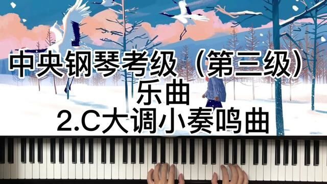 中央钢琴考级(第三级)乐曲2.C大调小奏鸣曲#钢琴教学 #钢琴老师 #乐器演奏 #成人钢琴 #钢琴考级