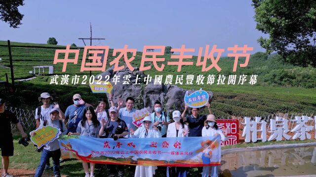 武汉市2022年云上中国农民丰收节开启