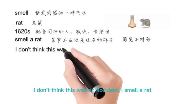 英语思维解密,为什么smell a rat表示感到不妙,轻松学英语