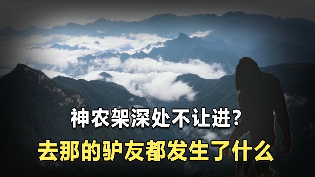 为何神农架深处,至今被人们认为是“禁区”?那里真的有野人吗?