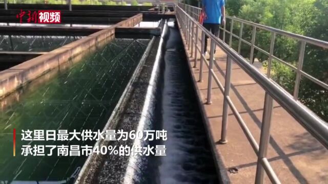 探访南昌市最大水厂:24小时作业承担南昌40%供水量