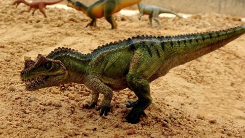 动物玩具系列：恐龙玩具之竞速恐龙