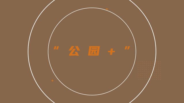 黄浦 | 贴近青年大众,“走新”更“走心”