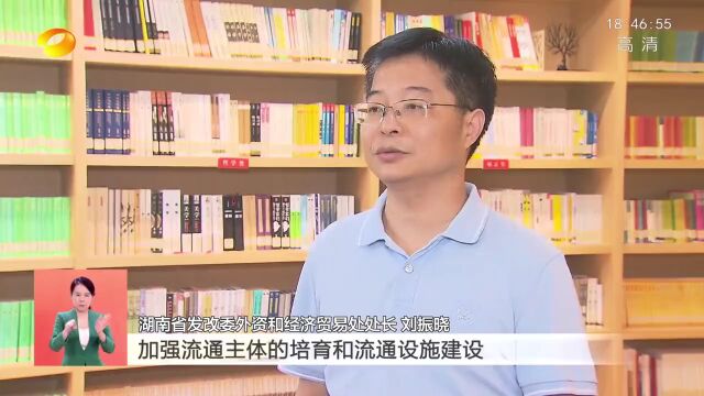 怀化积极对接融入西部陆海新通道,助推湖南物流市场主体总量居全国第一方阵