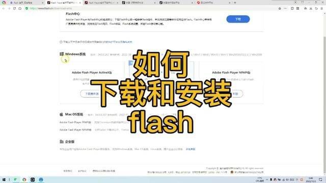 如何下载和安装flash? #flash下载 #动画不能播放