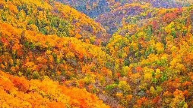 莲花山百丈崖赏红叶山地穿越2019.10.27