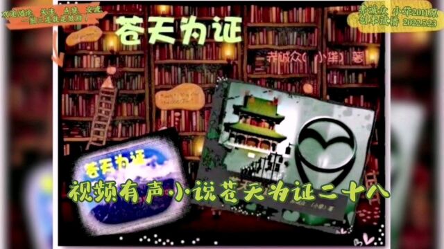 视频有声小说苍天为证二十八