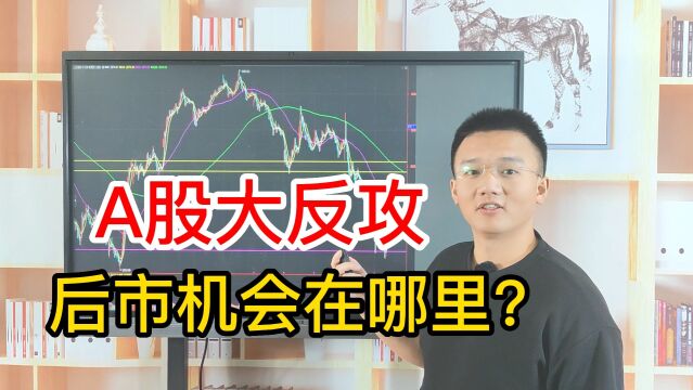 A股大反攻,成功守住2950点!超2800只股票下跌,后续机会在哪?