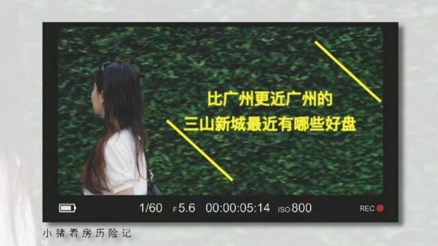 比广州更近广州的三山新城最近有哪些好盘?小猪带你去看看