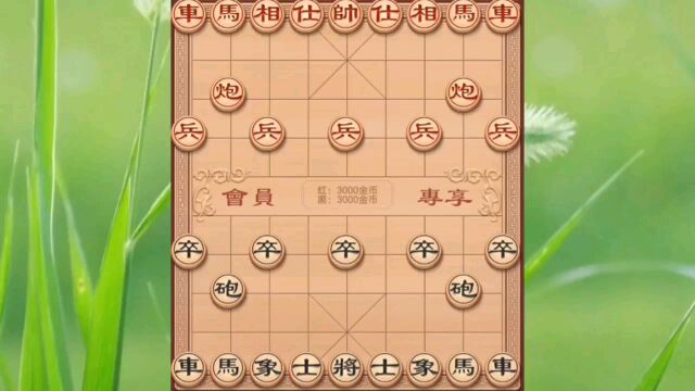 棋友对决 互相切磋