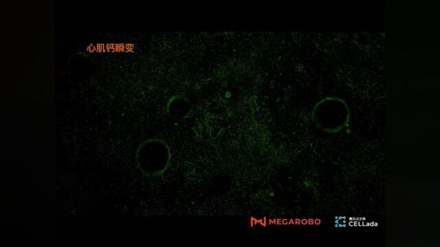 AI+生命科学+自动化,镁伽让它们碰撞产生了高效的火花 | GGV OMEGA 访谈录