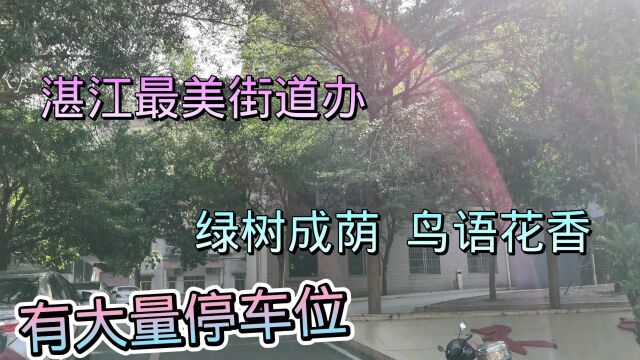 湛江最美街道办,房子都是上世纪70年代的样子,好亲切