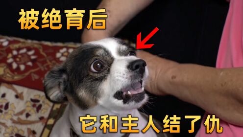 腾讯视频